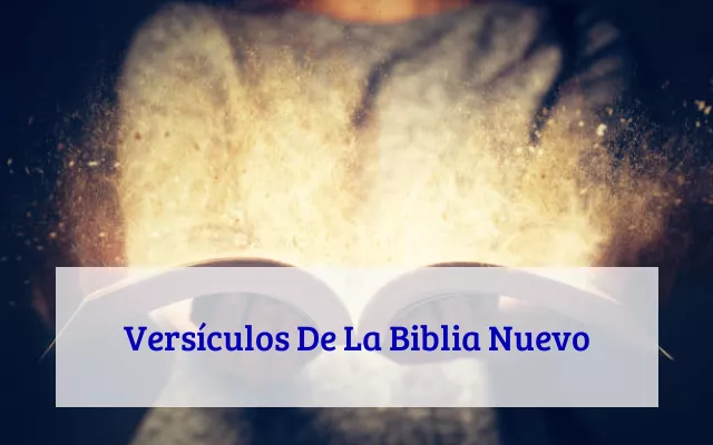 Versículos De La Biblia Nuevo