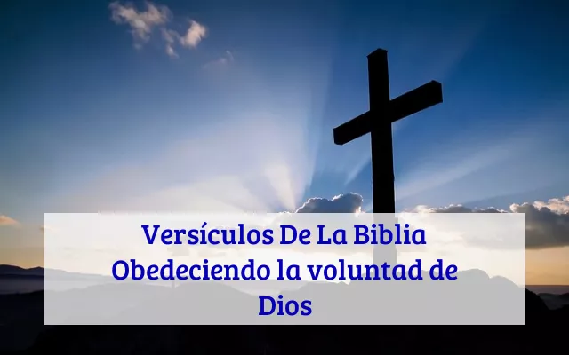 Versículos De La Biblia Obedeciendo la voluntad de Dios