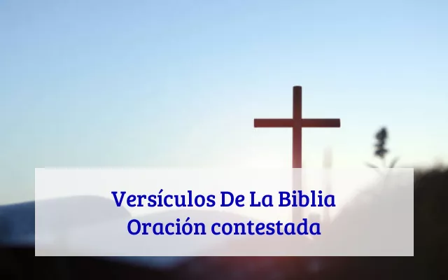 Versículos De La Biblia Oración contestada