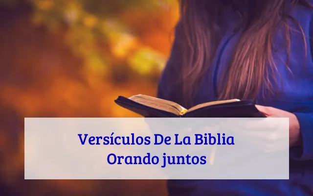 Versículos De La Biblia Orando juntos