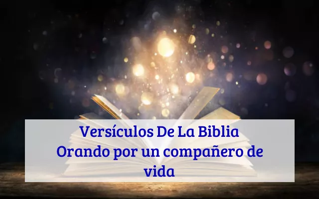 Versículos De La Biblia Orando por un compañero de vida
