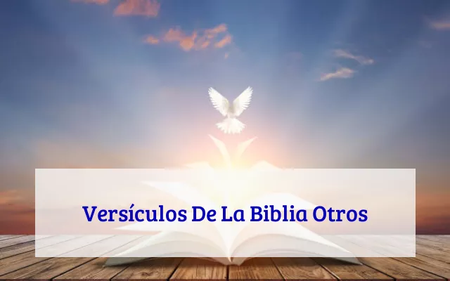 Versículos De La Biblia Otros