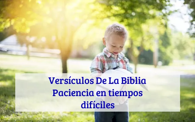 Versículos De La Biblia Paciencia en tiempos difíciles