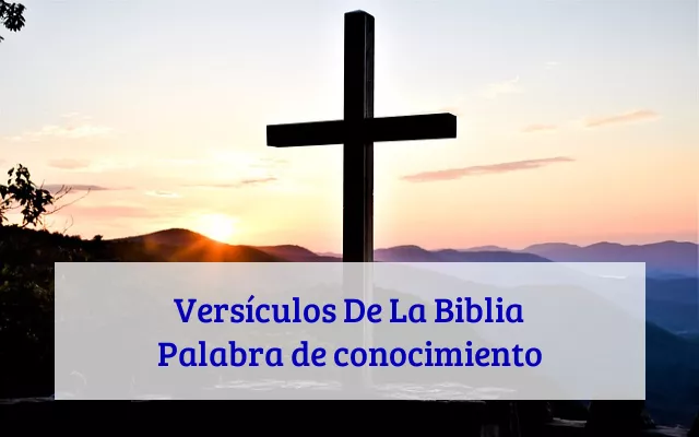 Versículos De La Biblia Palabra de conocimiento