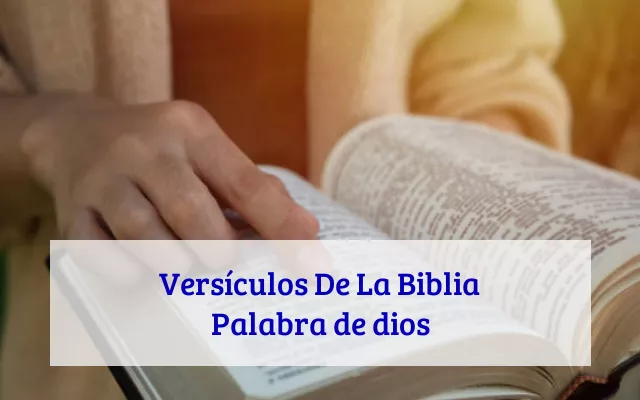 Versículos De La Biblia Palabra de dios