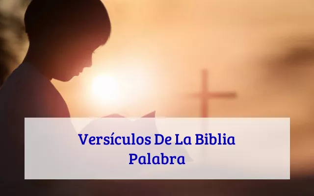Versículos De La Biblia Palabra