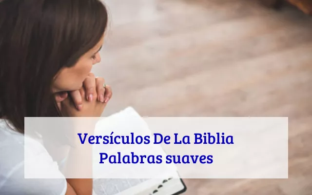 Versículos De La Biblia Palabras suaves
