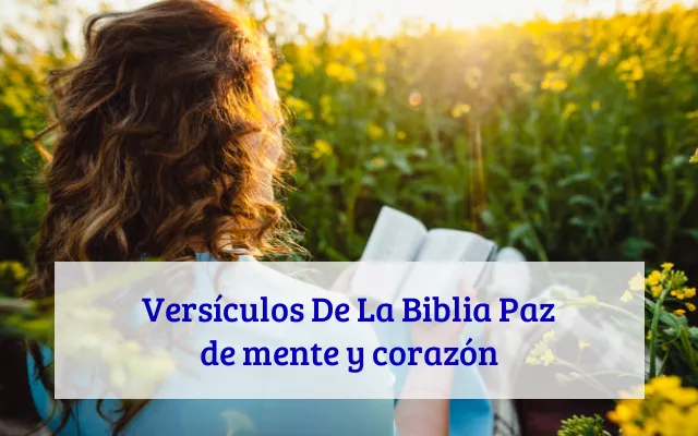 Versículos De La Biblia Paz de mente y corazón