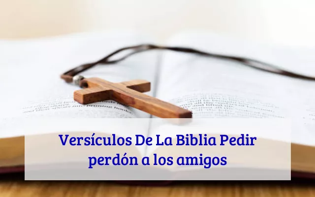 Versículos De La Biblia Pedir perdón a los amigos