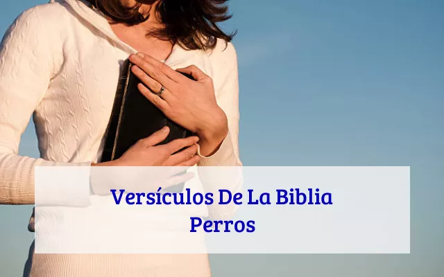 Versículos De La Biblia Perros
