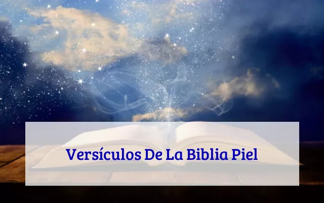 Versículos De La Biblia Piel