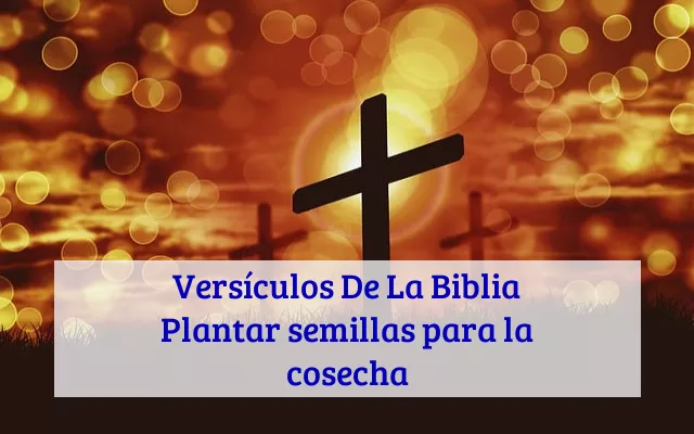 Versículos De La Biblia Plantar semillas para la cosecha