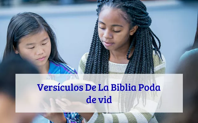 Versículos De La Biblia Poda de vid