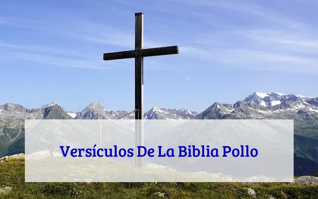 Versículos De La Biblia Pollo