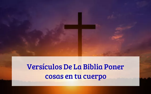 Versículos De La Biblia Poner cosas en tu cuerpo