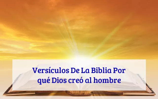 Versículos De La Biblia Por qué Dios creó al hombre