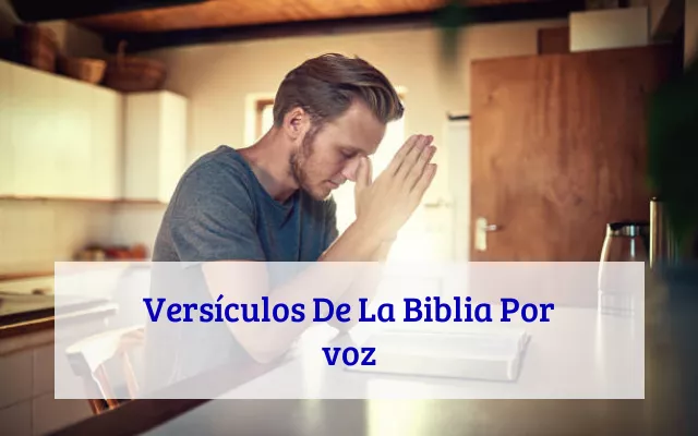 Versículos De La Biblia Por voz