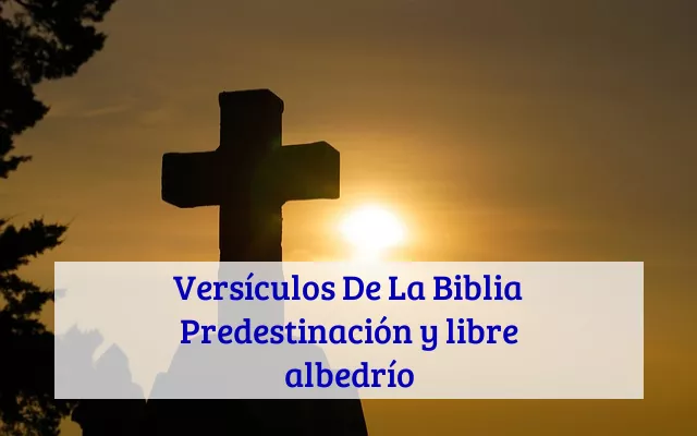 Versículos De La Biblia Predestinación y libre albedrío