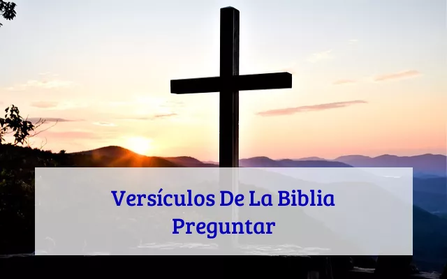 Versículos De La Biblia Preguntar