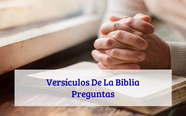 Versículos De La Biblia Preguntas