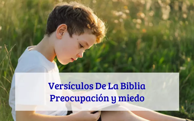 Versículos De La Biblia Preocupación y miedo