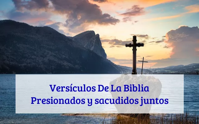 Versículos De La Biblia Presionados y sacudidos juntos