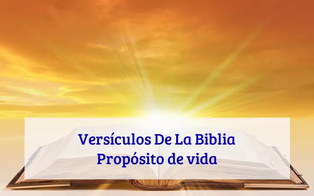 Versículos De La Biblia Propósito de vida