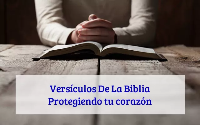 Versículos De La Biblia Protegiendo tu corazón