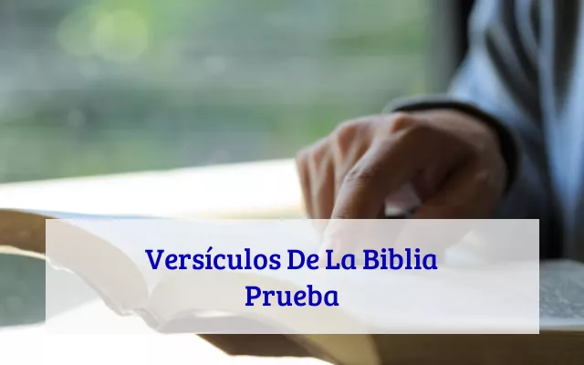 Versículos De La Biblia Prueba