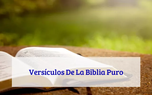 Versículos De La Biblia Puro