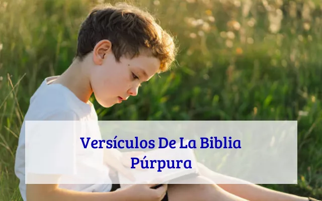 Versículos De La Biblia Púrpura