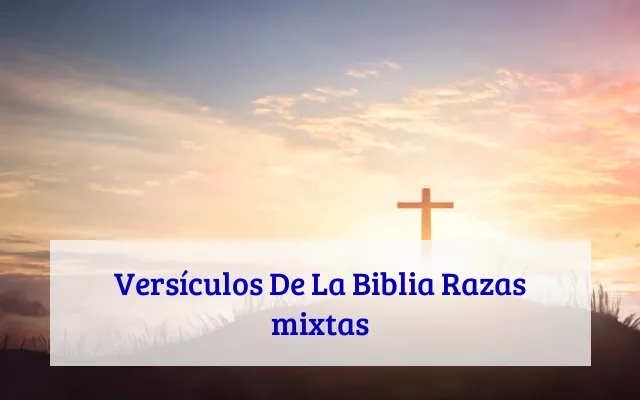 Versículos De La Biblia Razas mixtas