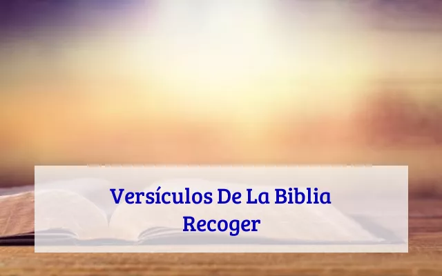 Versículos De La Biblia Recoger