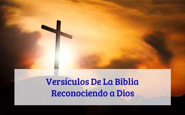 Versículos De La Biblia Reconociendo a Dios