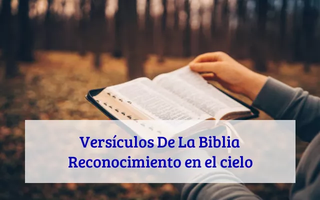 Versículos De La Biblia Reconocimiento en el cielo
