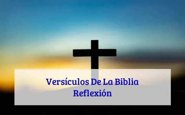 Versículos De La Biblia Reflexión