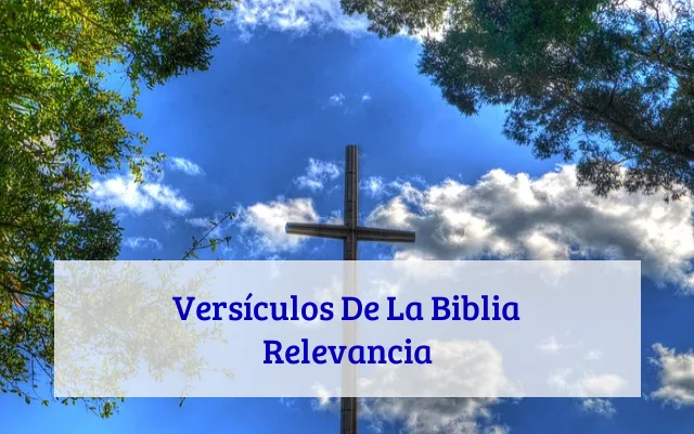 Versículos De La Biblia Relevancia