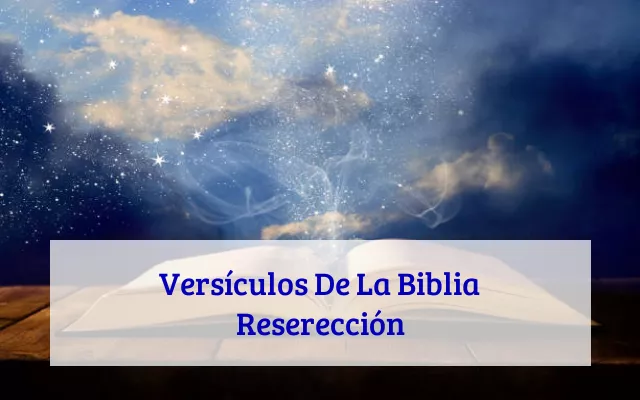Versículos De La Biblia Reserección