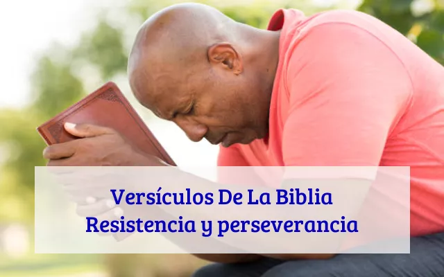 Versículos De La Biblia Resistencia y perseverancia