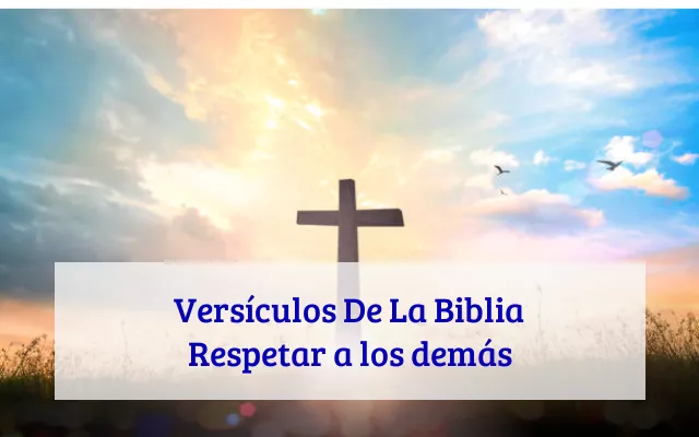Versículos De La Biblia Respetar a los demás