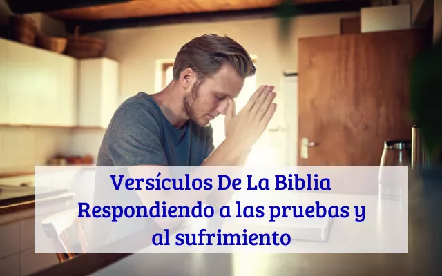 Versículos De La Biblia Respondiendo a las pruebas y al sufrimiento