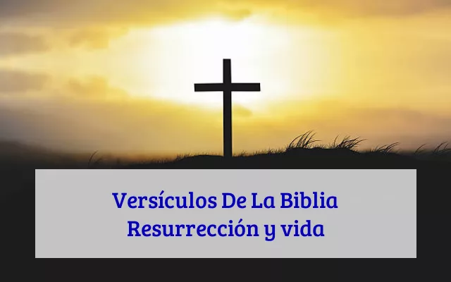 Versículos De La Biblia Resurrección y vida