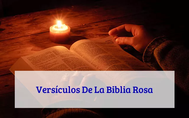 Versículos De La Biblia Rosa