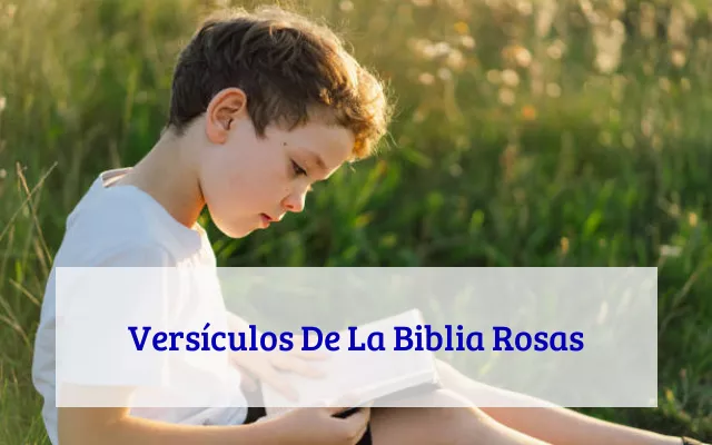 Versículos De La Biblia Rosas