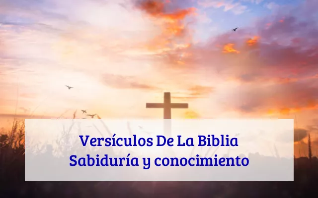Versículos De La Biblia Sabiduría y conocimiento