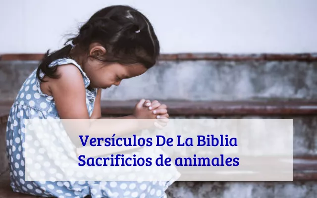 Versículos De La Biblia Sacrificios de animales