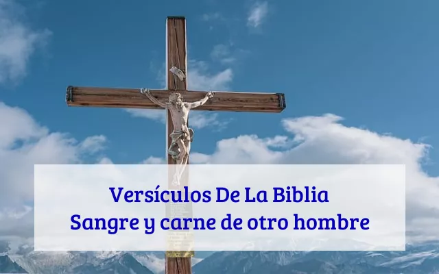 Versículos De La Biblia Sangre y carne de otro hombre