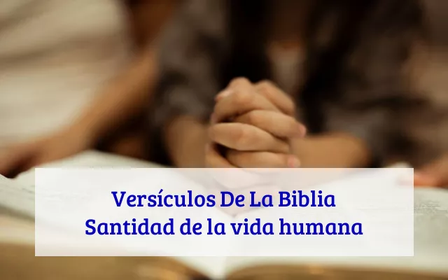Versículos De La Biblia Santidad de la vida humana