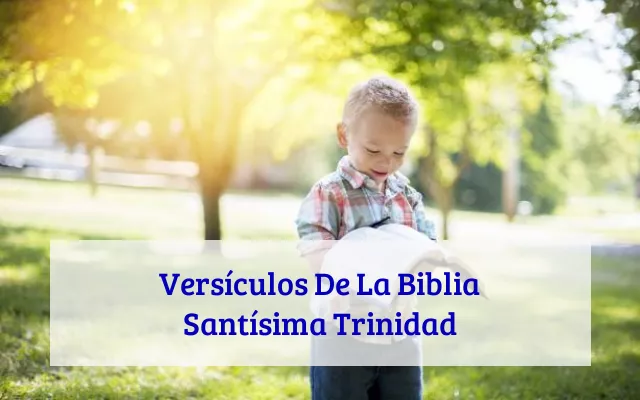 Versículos De La Biblia Santísima Trinidad