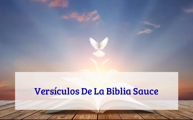 Versículos De La Biblia Sauce